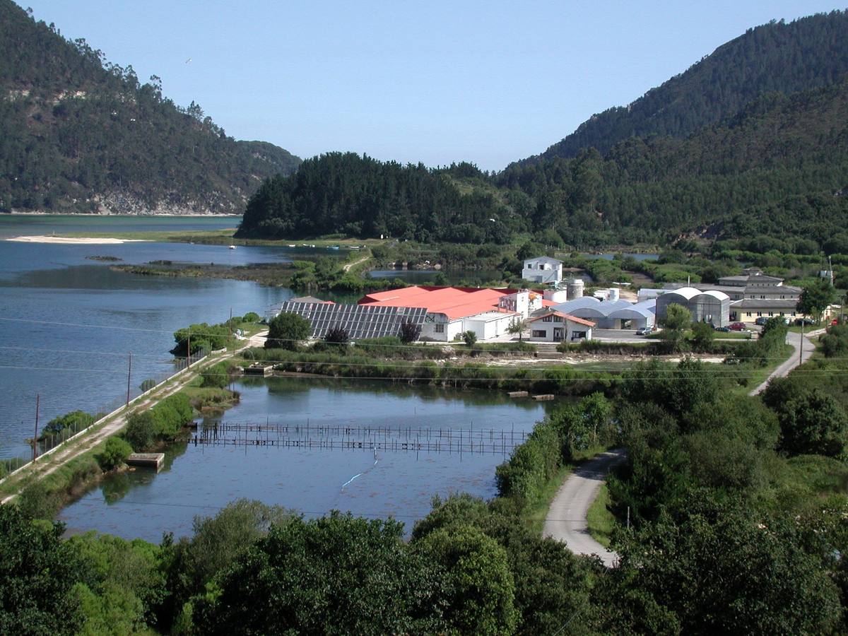 Piscifactoría de Tinamenor en Val de San Vicente