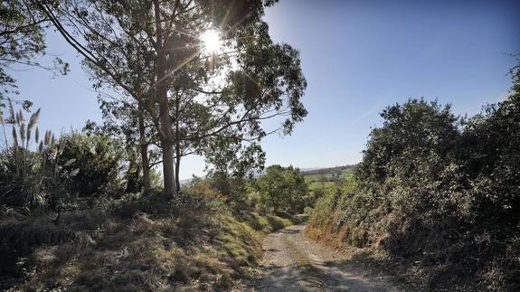 El Gobierno destina 290.000 euros a recuperar el entorno de Monte Castillo