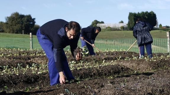 Torrelavega rectifica y eleva a 167 los parados que contratará con el plan del Gobierno