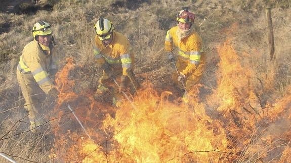 Agentes forestales trabajando en un incendio.