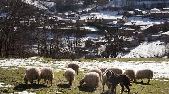Los hombres ya usaban el fuego en Picos de Europa para generar pastos hace 4.900 años