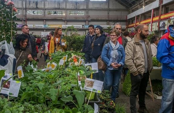 El Mercado de Ganados acoge la Feria de Árboles y Plantas que pretende ser un punto de encuentro entre lo rural y lo urbano.