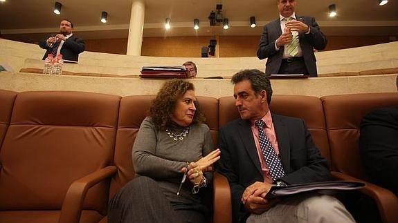 Martín junto a Teresa Noceda, momentos antes de empezar el pleno