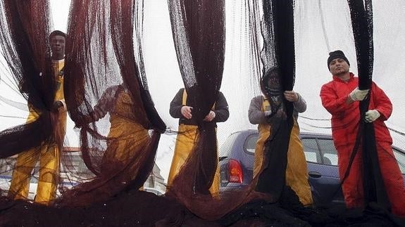 Las capturas se limitarán a 4.000 kilos por barco y día