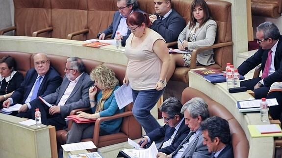 Un momento del pleno de este lunes, con Verónica Ordóñez (Podemos) en el estrado.