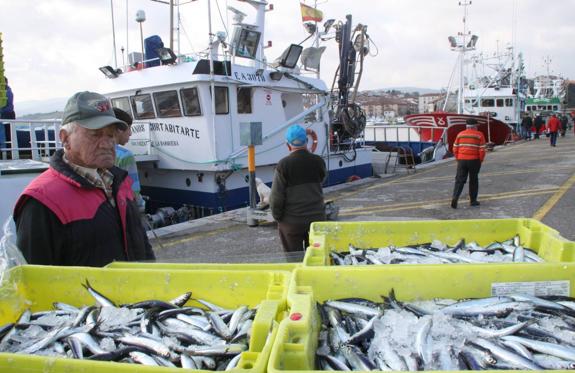 Este año ha entrado un 17% más pescado en el puerto de San Vicente