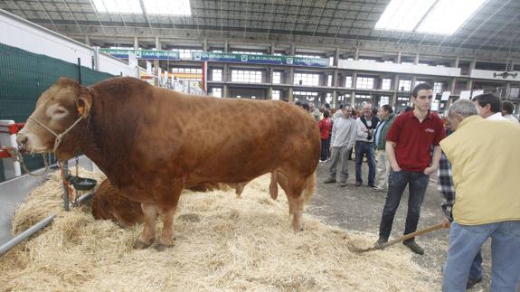 El concurso vuelve al calendario tras estar suspendido durante la pasada edición