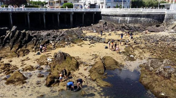 Imagen de la limpieza de residuos impulsada por el Club Náutico de Castro Urdiales.
