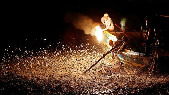 Las sardinas saltan del mar al encenderse la antorcha. 