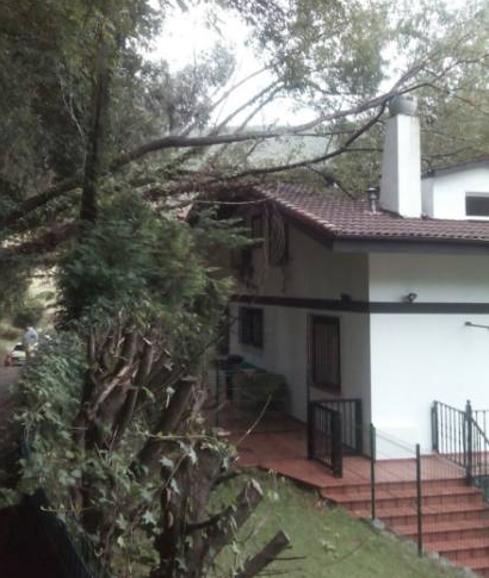 Un árbol cae sobre el tejado de una casa en Castro sin causar heridos