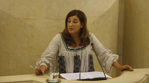 María José Saénz de Buruaga, durante su intervención en el pleno de este martes.