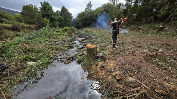 Las labores de limpieza se están realizando en el mismo cauce del río Bayones.