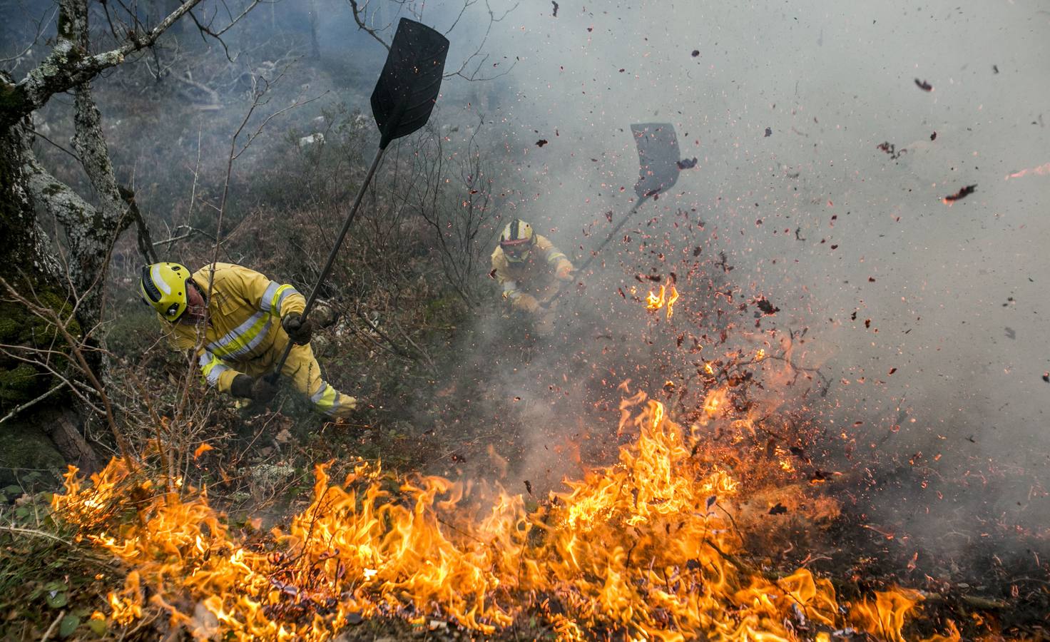 Una cuadrilla de montes intenta sofocar el fuego en Bárcena Mayor 