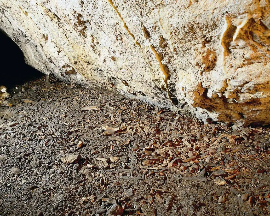 Imagen del interior de la cueva de La Garma.