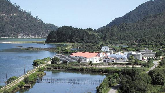 Instalaciones de la empresa Tinamenor en Pesués, en Val de San Vicente.