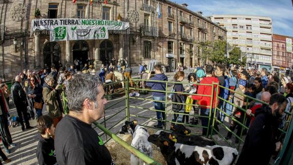 La acción sorpresa de los activistas llamó la atención de vecinos y visitantes, especialmente el huerto y la estabulación.