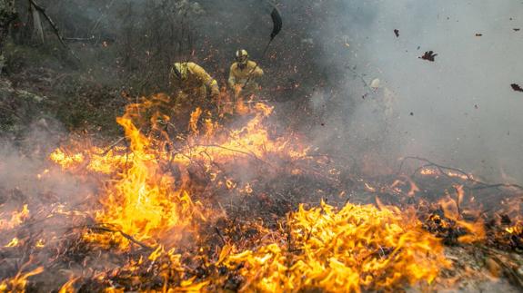 Cantabria presentará un nuevo protocolo para combatir los incendios forestales