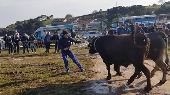 San Vicente festeja a su patrón