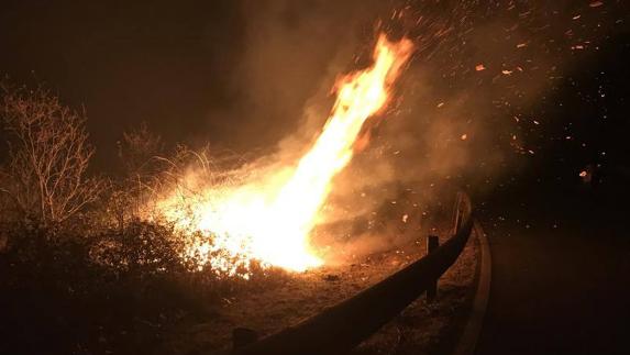 El incendio forestal de Carmona penetra en la carretera.