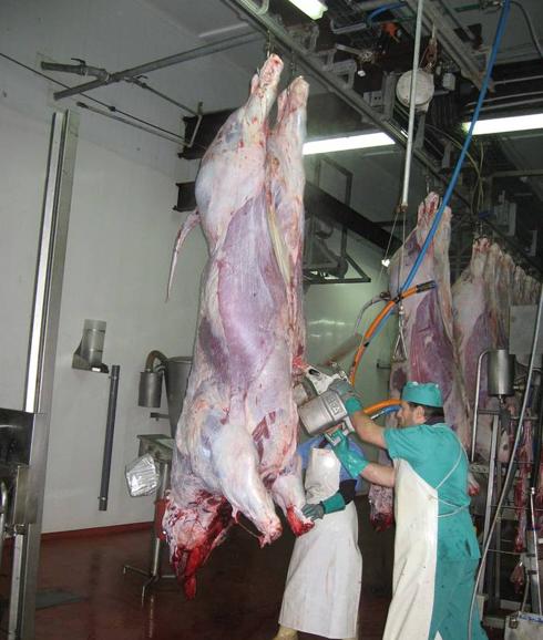 El matadero abrió sus puertas en el año 2010.