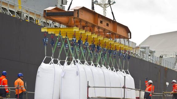 Estibadores portuarios realizan labores de carga en el puerto de Santander.