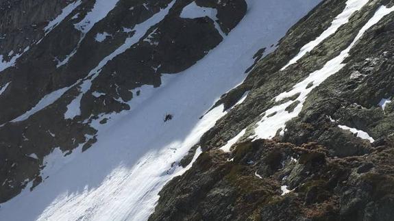 El montañero se quedó en medio de la nieve, sin poder moverse, hasta que llegó el helicóptero.