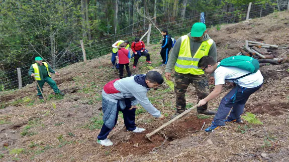 Celebración de las jornadas sobre plantación y trasplante de árboles en Los Corrales