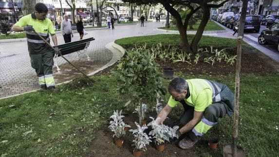 Empleados de Jardines de Santander plantan nuevas especies en uno de los parterres de La Alameda.
