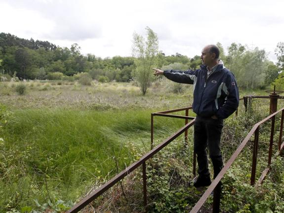 El presidente de la Asociación de Vecinos muestra la maleza que invade el lago.