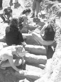 Investigación del trazado urbano de Julióbriga