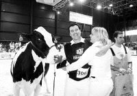 La vaca frisona 'Greta', de Oruña, se proclama campeona nacional en Gijón