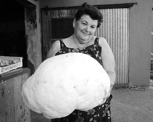 Una vecina de Carasa, con el champiñón. / M. GARCÍA