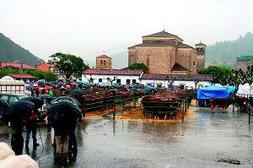 En La Serna se mostraron decenas de reses. / P. G. B. De las 36 cabañas presentadas en Cieza, 23 eran de tudanco. / SANE