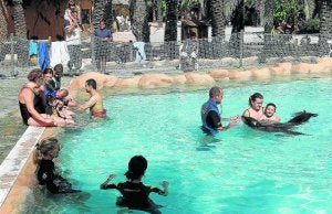 Niños y adultos con esclerosis múltiple participan en una actividad con leones marinos. / EFE