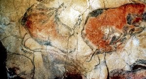 Las bacterias que colonizan paredes y techo de la cueva, incluso en la Sala de Polícromos, pueden causar enfermedades. ::
DM