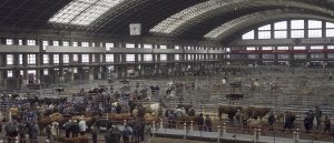 Las ventas en el Mercado de Ganado de Torrelavega superaron los 45 millones