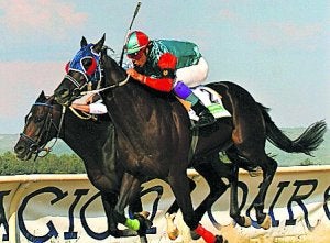 La 10 apuesta: carreras de caballos y caza para el fin de semana