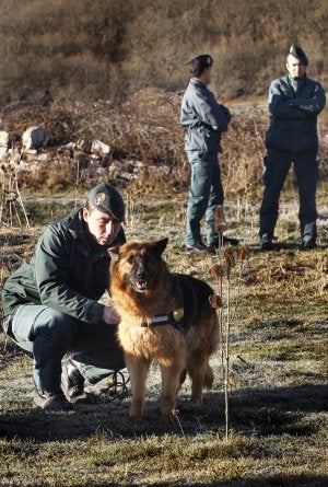 La pastora alemana Laika, con su entrenador, en Valdeolea. ::                             A. FDEZ.