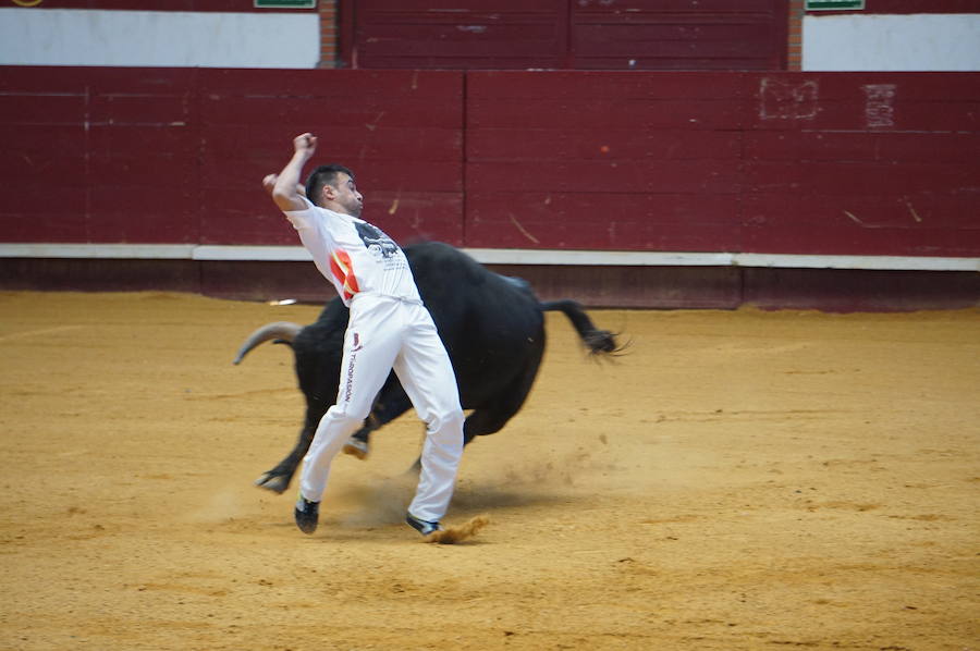 Fotos: Concurso de Cortes de La Flecha