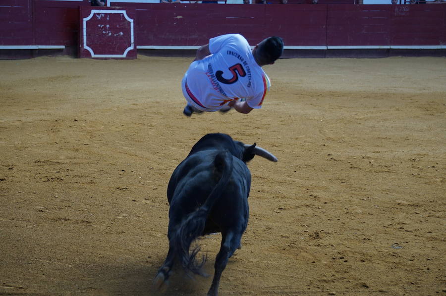 Fotos: Concurso de Cortes de La Flecha