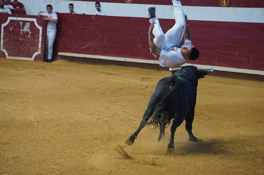 Fotos: Concurso de Cortes de La Flecha