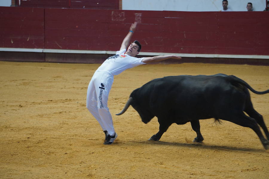 Fotos: Concurso de Cortes de La Flecha