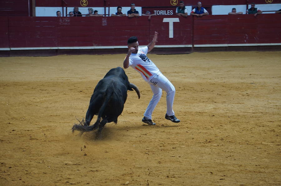 Fotos: Concurso de Cortes de La Flecha