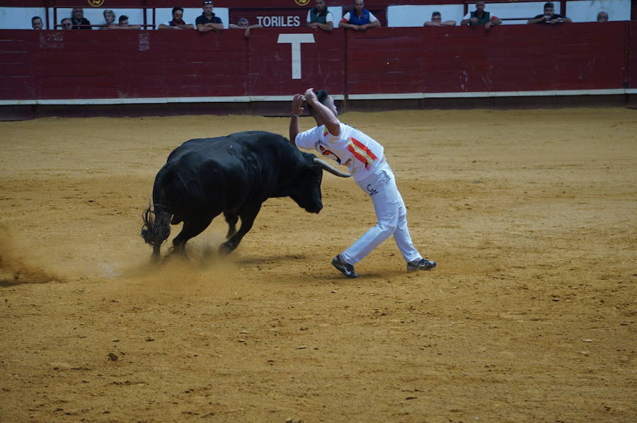 Fotos: Concurso de Cortes de La Flecha