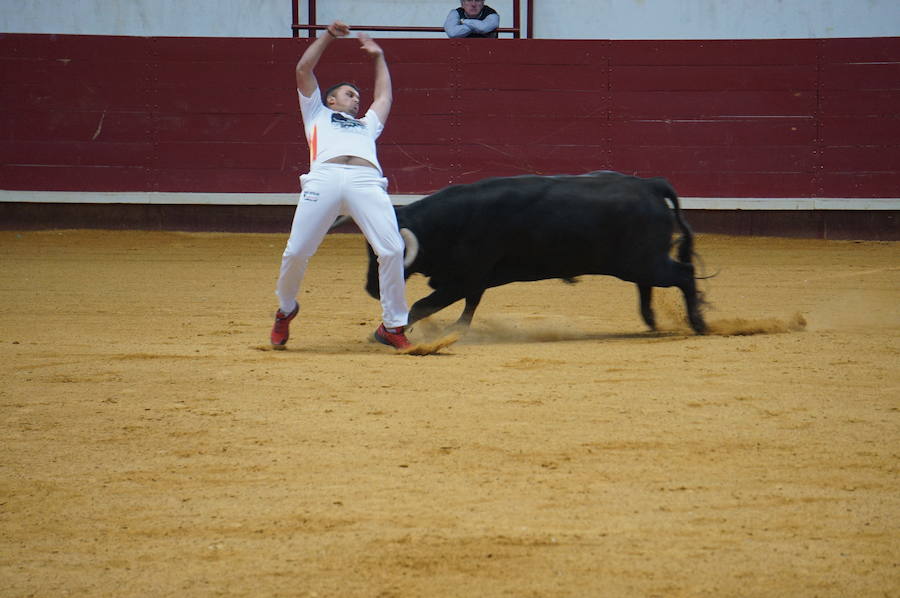 Fotos: Concurso de Cortes de La Flecha