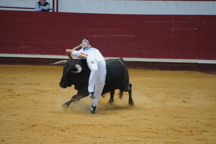 Fotos: Concurso de Cortes de La Flecha