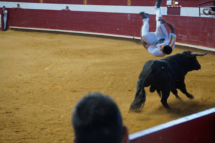 Fotos: Concurso de Cortes de La Flecha