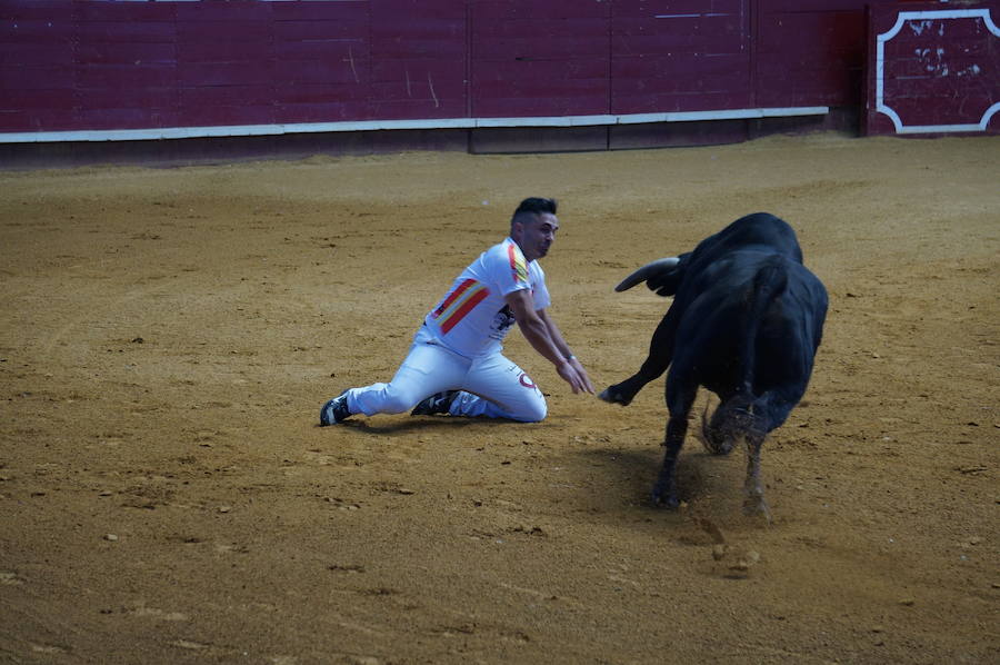 Fotos: Concurso de Cortes de La Flecha