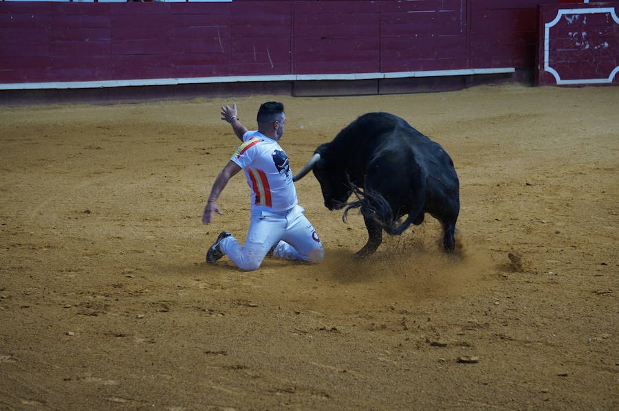 Fotos: Concurso de Cortes de La Flecha