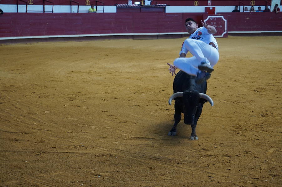 Fotos: Concurso de Cortes de La Flecha